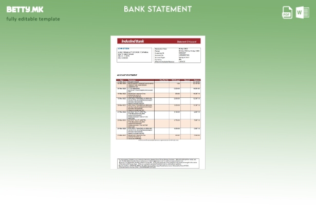 модерен стил на Индија IndusInd шаблон за извод од банка